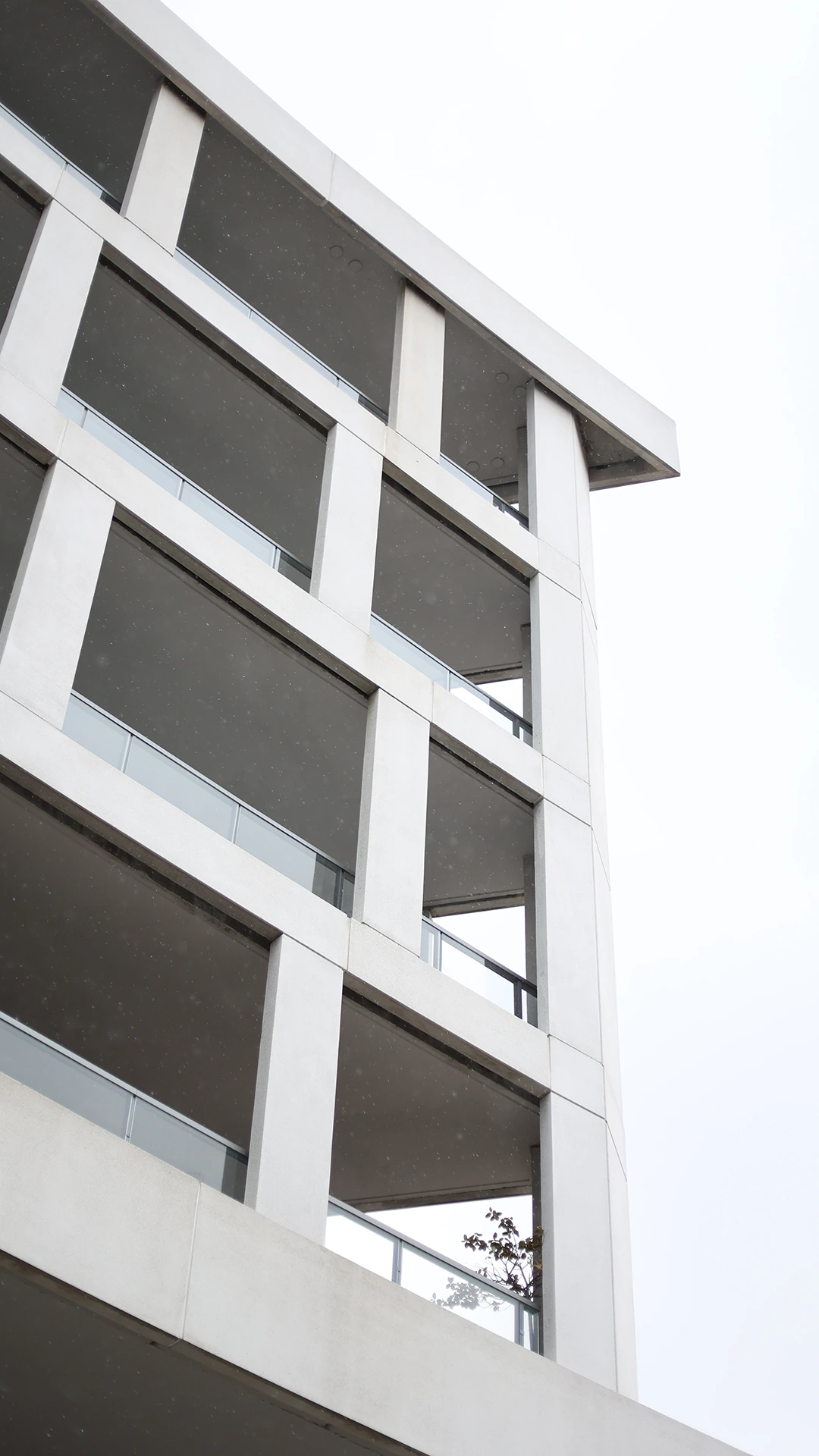 Architecture · clean geometry