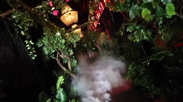 Jungle-themed Bar Mitzvah decor with greenery, hanging lanterns and mist at Rebel Nightclub