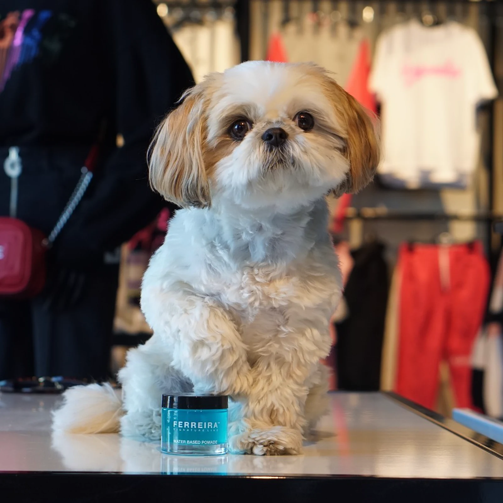 Say hi to the the newsiest (and cutest) @ferreirasignatureline and 29:Eleven brand ambassador. Find the collection in-store.