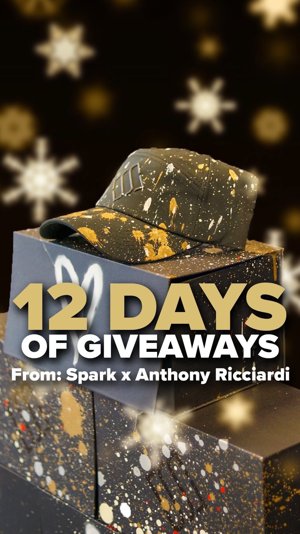 Spark Financial and @ricciardipaints are excited to announce our collaboration on 12 DAYS OF GIVEAWAYS! 
From now until Christmas, you will 